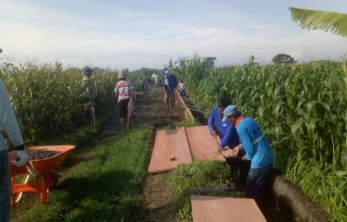 Pembangunan Jalan Rabat Beton Desa Wonorejo Melalui Program POKIR