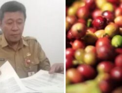 Dinas Pertanian Jombang Memperjuangkan Petani Kopi