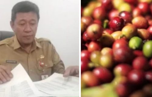 Dinas Pertanian Jombang Memperjuangkan Petani Kopi