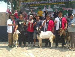 Jalan Sehat Dalam Rangka Memperingati Hari Besar Islam Dan Hari Kemerdekaan RI