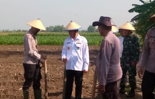 Jajaran Polsek Bandarkedungmulyo Lakukan Tanam Benih Jagung