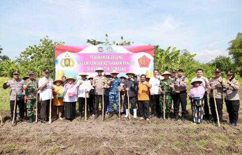 Wujudkan Ketahanan Pangan, Polres Jombang Bersama Forkopimda Tanam Jagung di Kecamatan Tembelang