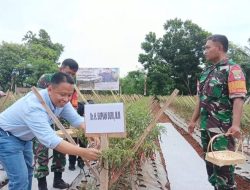 Supian Suri Apresiasi Panen Raya Kodim dan K3D