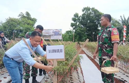 Supian Suri Apresiasi Panen Raya Kodim dan K3D