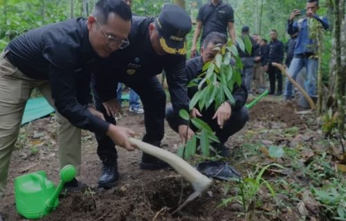 Perumdam Tirta Kencana Jombang Gelar Tanam Pohon dan Ruwatan