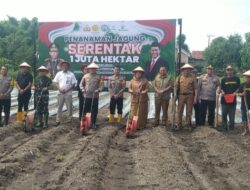 Kapolres Jombang Bersama Forkopimda Tanam Jagung Serentak 1 Juta Hektar