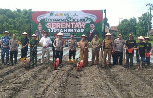 Kapolres Jombang Bersama Forkopimda Tanam Jagung Serentak 1 Juta Hektar