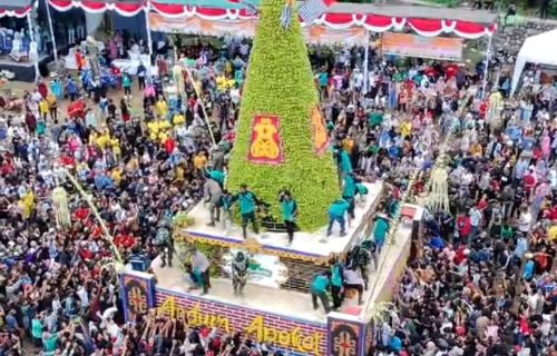 Event Andum Alpukat Tinggi 10 Meter Dihadiri Ribuan Masyarakat di Wonosalam Jombang 
