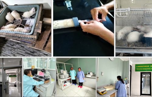 Terobosan Terapi Komplementer Teknologi Nano Kombinasi NO, Mg dan GNH