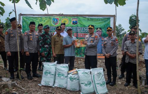 Kapolres Jombang Serahkan Bantuan Benih Jagung kepada LMDH Sumber Makmur Alaska di Desa Sumberaji, Kabuh