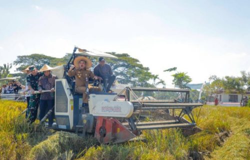 Gubernur Jateng Panen Raya di Kabupaten Sukoharjo