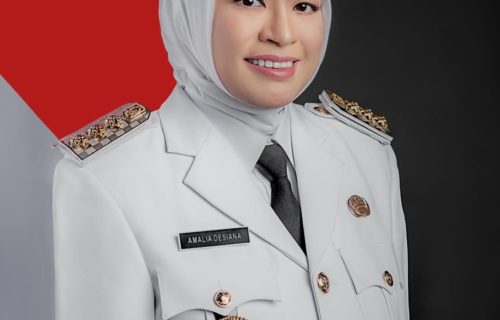 PROFIL BUPATI BANJARNEGARA