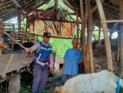 Kapolres Nganjuk Apresiasi Warga yang Produktifkan Lahan Pekarangan untuk Ternak Kambing