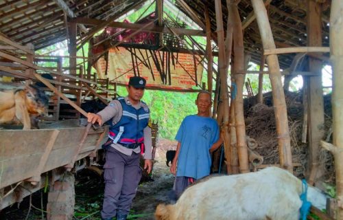 Kapolres Nganjuk Apresiasi Warga yang Produktifkan Lahan Pekarangan untuk Ternak Kambing