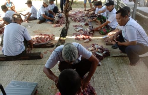 Masjid Al Ikhlas Dusun Sariloyo Menyembelih Hewan Kurban Sebanyak 19 Ekor
