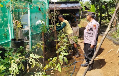 Polsek Sawahan Dukung Ketahanan Pangan Lewat Pemanfaatan Lahan Perkarangan