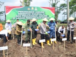Penanaman Jagung Kuartal III Polres Jombang, Perhutani Dukung Penuh Program Pemerintah