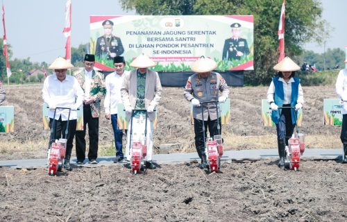Wujudkan Swasembada Pangan, Polri Gandeng Ponpes Tanam Jagung Serentak di Lahan Ponpes Tebuireng Jombang