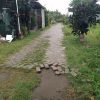 Proyek Pavingisasi di Desa Mojongapit Jombang Mangkrak, Warga Menuntut Transparansi