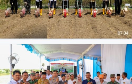 Polres Jombang Kolaborasi Tanam Jagung Serentak di Desa Plosogenuk, Terhubung Virtual dengan Wapres RI dan Kapolri