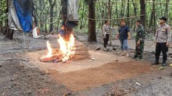 Kolaborasi TNI-Polri Intensifkan Penindakan Judi Sabung Ayam di Jombang