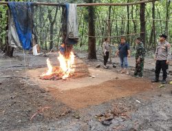 Kolaborasi TNI-Polri Intensifkan Penindakan Judi Sabung Ayam di Jombang