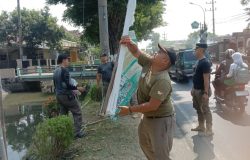 Satpol PP Jombang Tertibkan Reklame Ilegal dari Exit Tol Tembelang Hingga Sambong